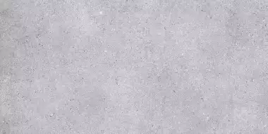NR211 Керамогранит Nemo Light Grey 60x120