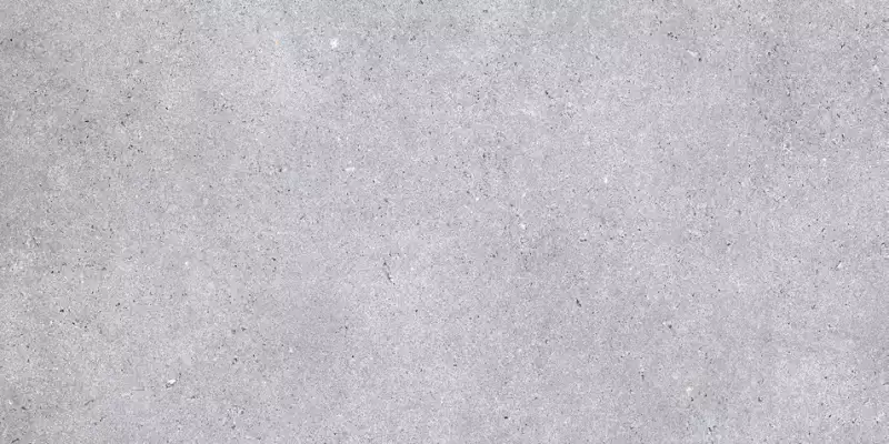 NR211 Керамогранит Nemo Light Grey 60x120