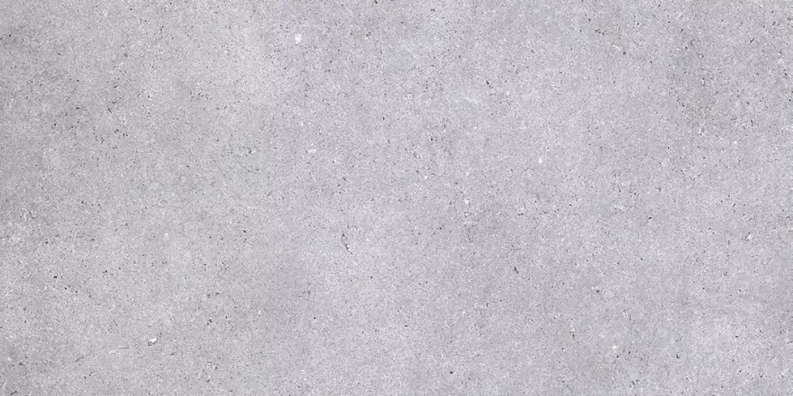 NR211 Керамогранит Nemo Light Grey 60x120