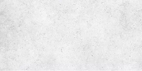 NR212 Керамогранит Nemo White 60x120