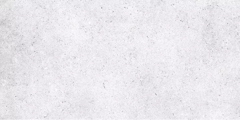 NR212 Керамогранит Nemo White 60x120