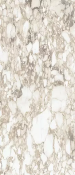 ONIRIC WHITE LAP RT 60X120