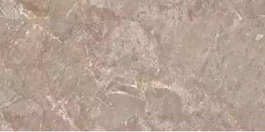 Oracle Brown Glossy 120x60