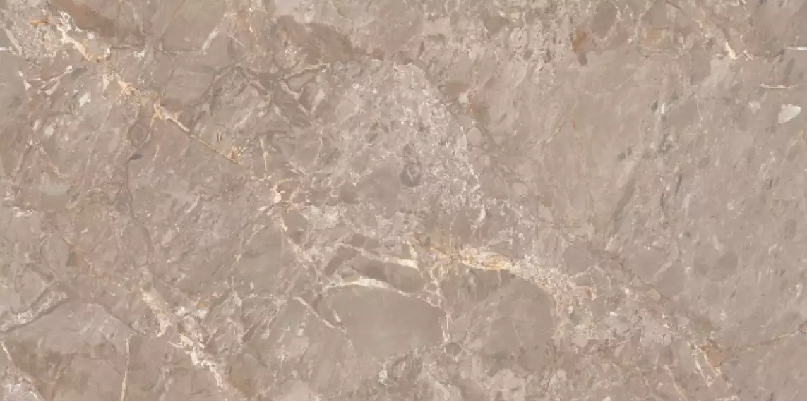 Oracle Brown Glossy 120x60