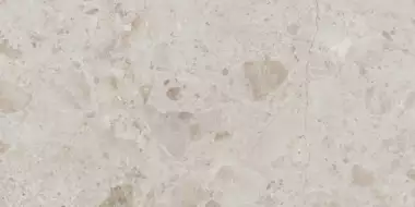 Petra Taupe Matt Rect 60x120