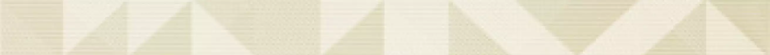 REFLEX L.LINEA ATO 4.5x60