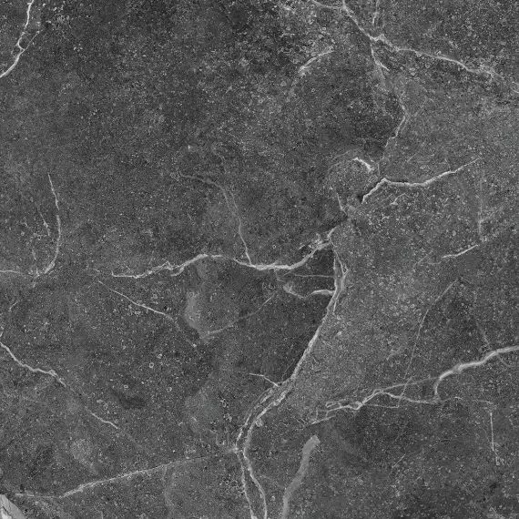 R_PR1022 Керамогранит Tunisia Grey Polished 60x60