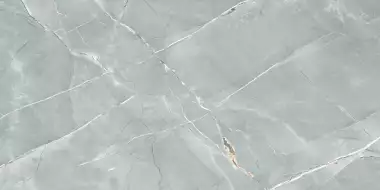 R_PR2019 Керамогранит William Grey Polished 60x120