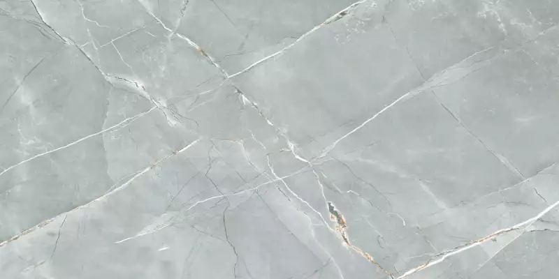 R_PR2019 Керамогранит William Grey Polished 60x120