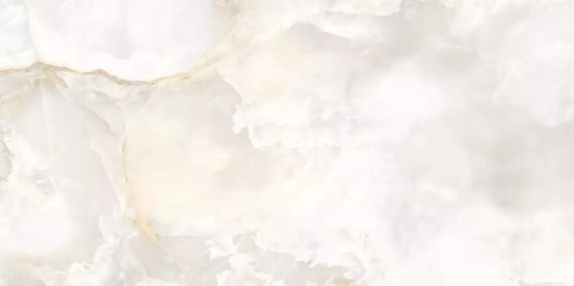 SPARTEN ONYX WHITE GLOSSY 60x120