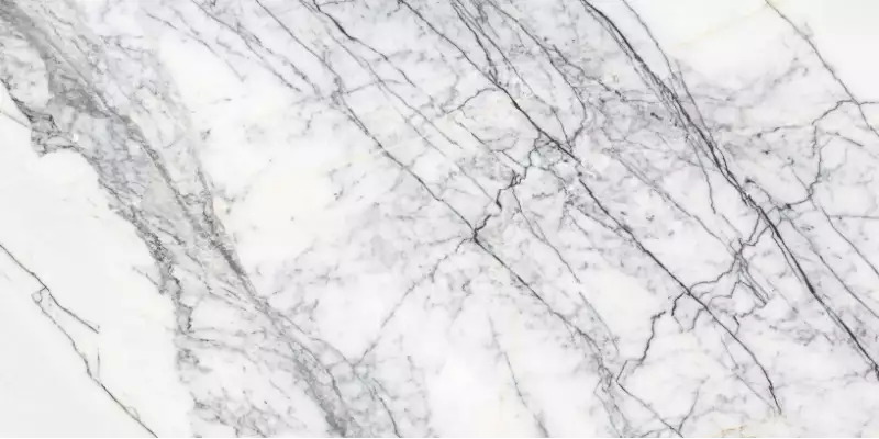 SPIDER WHITE GLOSSY 60x120