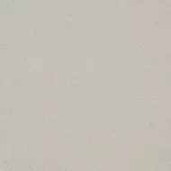 SP 421 Соль-перец светло-серый матовый 40х40