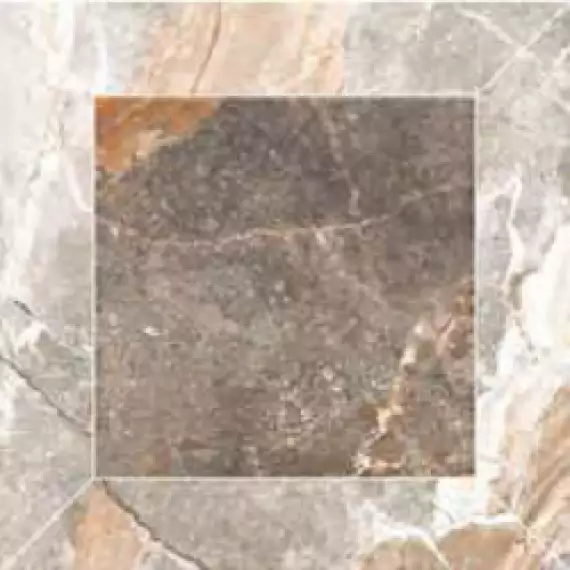 SP/d05-cut/600x600