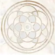 SP/d20-cut/1200x1200