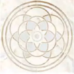 SP/d20-cut/1200x1200