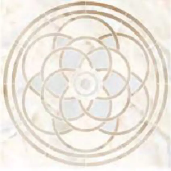 SP/d20-cut/1200x1200