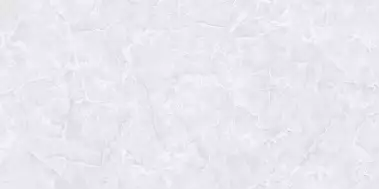 TP3602A Аргус светло-серый ректификат 30x60