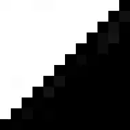 TR1/2D14-1Ch Black Half Dot Triangles 2.5х2.5