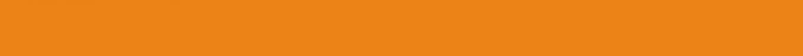 VLAG8001 CONCEPT Orange 25x1,5
