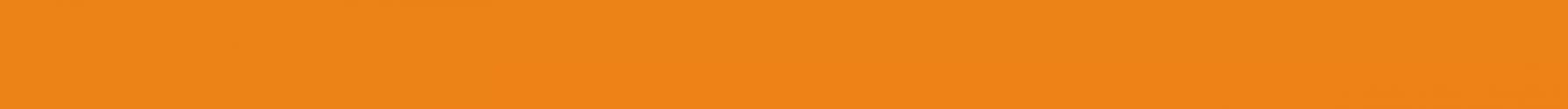 VLAG8001 CONCEPT Orange 25x1,5