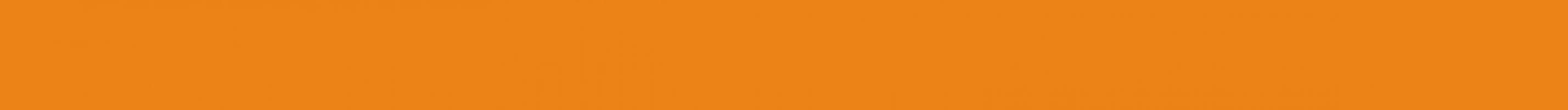 VLAG8001 CONCEPT Orange 25x1,5