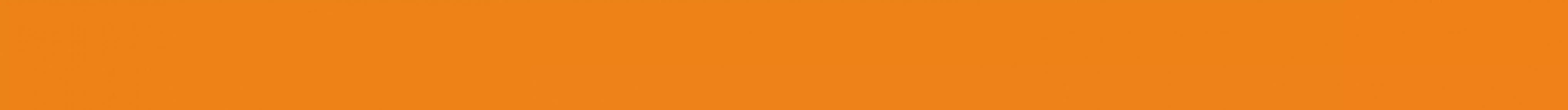 VLAG8001 CONCEPT Orange 25x1,5