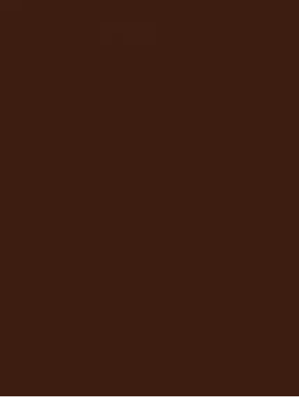 WAAKB009 CONCEPT Plus Brown 25x33