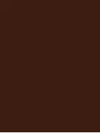 WAAKB109 CONCEPT Brown 25x33