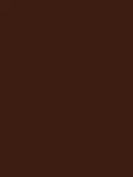 WAAKB109 CONCEPT Brown 25x33