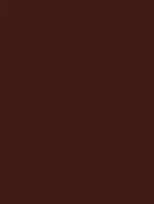 WAAKB109 CONCEPT Brown 25x33