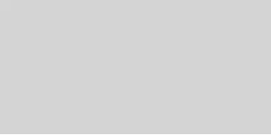 WAAMB012 CONCEPT PLUS Light Grey 20x40