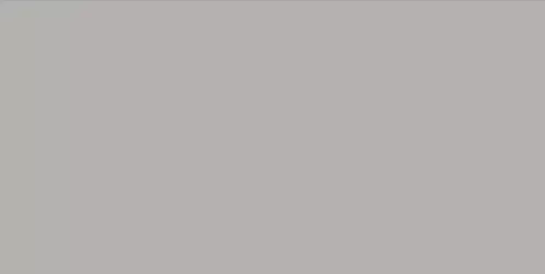 WAAMB110 CONCEPT Grey 20x40