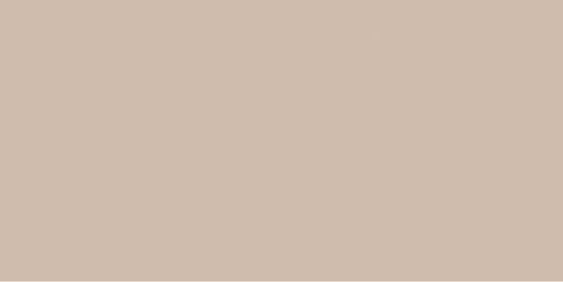 WAAV4008 CONCEPT PLUS Beige 30x60