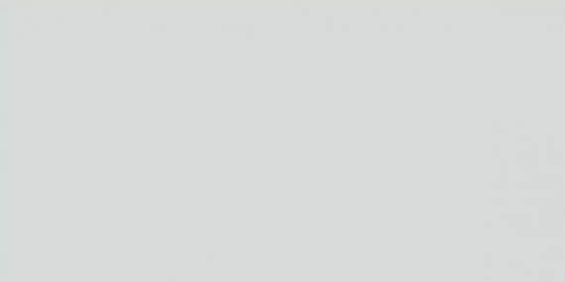 WAAV4012 CONCEPT PLUS Light Grey 30x60