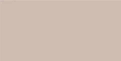 WAAV4108 CONCEPT Beige 30x60