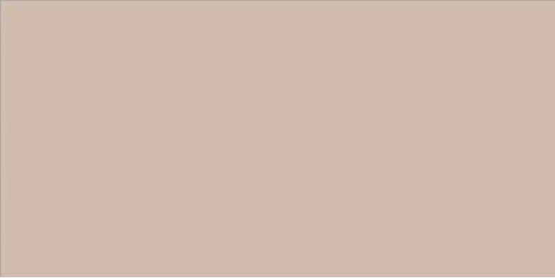 WAAV4108 CONCEPT Beige 30x60