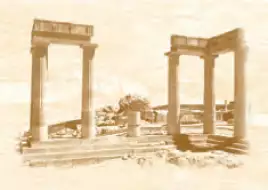 Империал D4 28x40