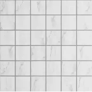 Мозаика SM01 Supreme непол./полир.(5x5) 30x30x1.0