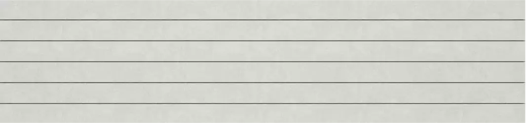 Фальшмозаика SR00 Spectrum Trail неполированный 19x120x1.0