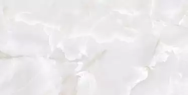 Primo Onyx Grey Full Polished 60x120